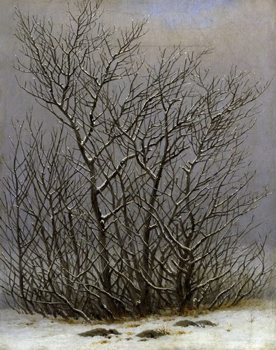 German:  Gebüsch im Schnee Bushes in the snow — Caspar David Friedrich
